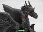 Dragon Coasters Decor - Image 7
