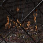 Iron Fireplace Screen - Image 6